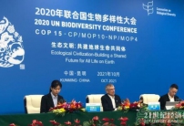 COP15：共建地球生命共同體，全球生物多樣性框架將聚焦4大長期目標