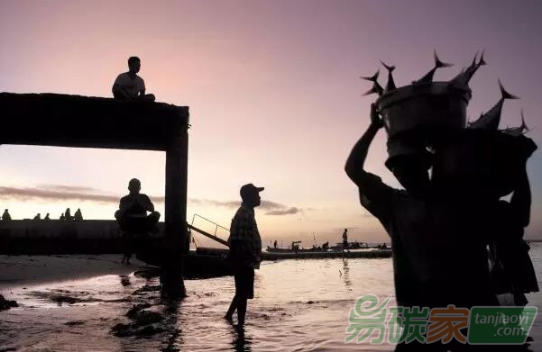 比特幣背后的區(qū)塊鏈技術(shù)，會是建立環(huán)境保護(hù)信任的關(guān)鍵嗎？