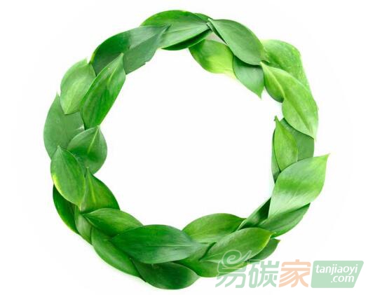 成都市人民政府辦公廳關于印發成都市鼓勵和支持開展出口產品低碳認證若干政策措施的通知【成辦函〔2019〕21號】