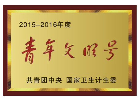 2015-2016年度青年文明號(hào)